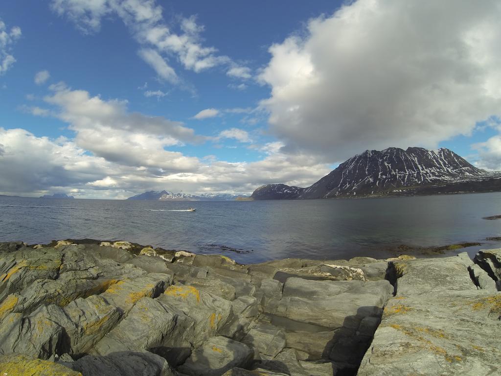 Lyngen Fjordcamp Villa Nord-Lenangen Eksteriør billede