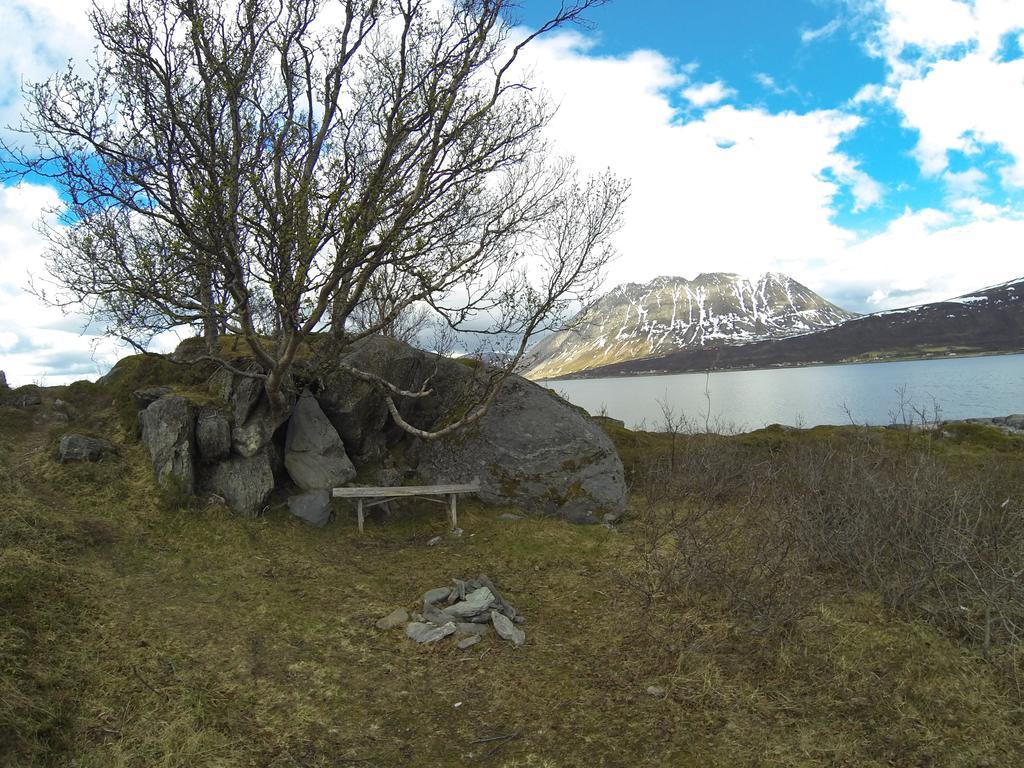 Lyngen Fjordcamp Villa Nord-Lenangen Eksteriør billede